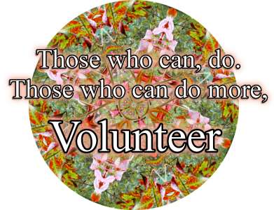 Those who can, do. Those who can do more, Volunteer. 